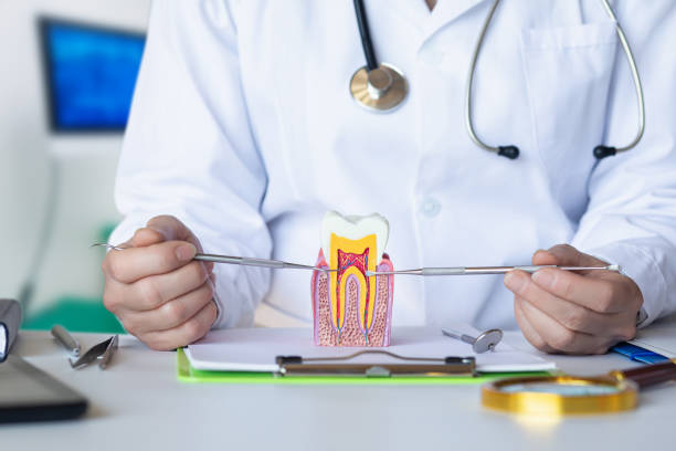 Best Emergency Dental Services Near Me  in Leavittsburg, OH